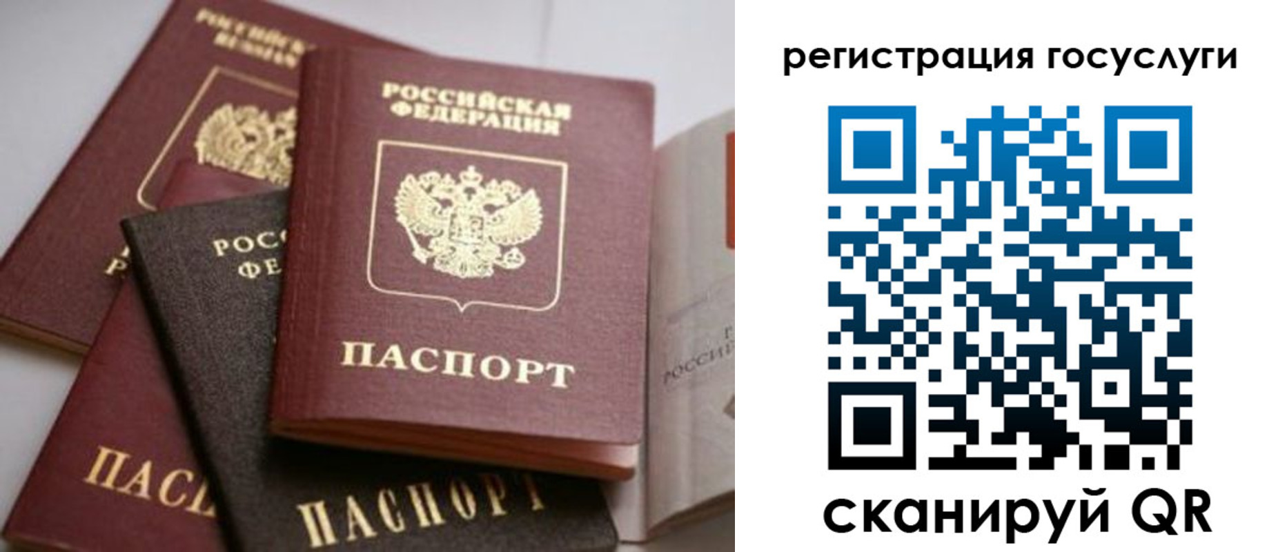 пропишу в квартире в Ногинске